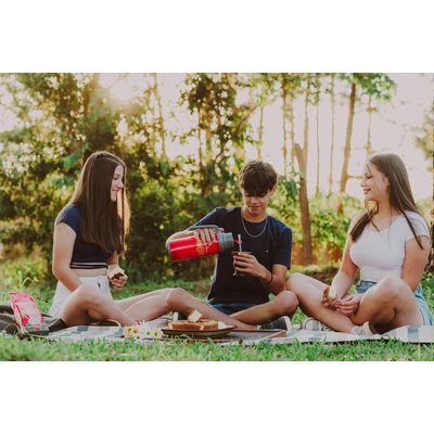 Yerba Mate Tea, Andresito Despalada 500g