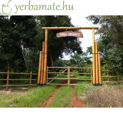 Yerba Mate Tea, Pajarito Orgánica (BIO) 500g